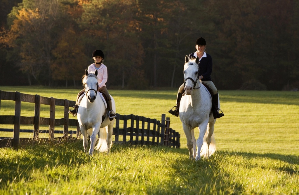 Activity center in Mont Tremblant, Summer and Winter Activities.
